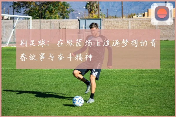 荆足球：在绿茵场上追逐梦想的青春故事与奋斗精神
