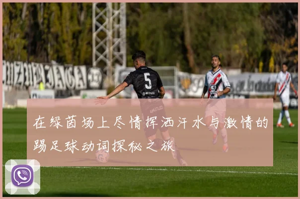 在绿茵场上尽情挥洒汗水与激情的踢足球动词探秘之旅