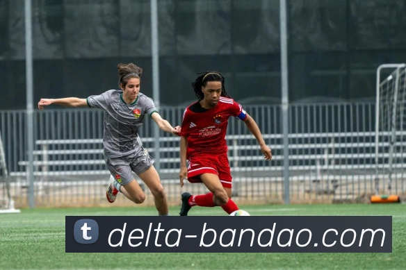 半岛体育APP 高清赛事图